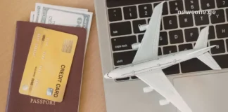 ბიზნესი, როგორც თავგადასავალი A professional entrepreneur working on a laptop with travel accessories, representing remote business management and global networking.