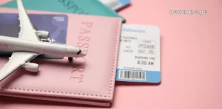 თამაში წესების გარეშე: როგორ “გატეხოთ” ავიაკომპანიების სისტემა და იპოვოთ სასაცილო ფასები პასპორტი, თვითმფრინავი და ავიაბილეთი